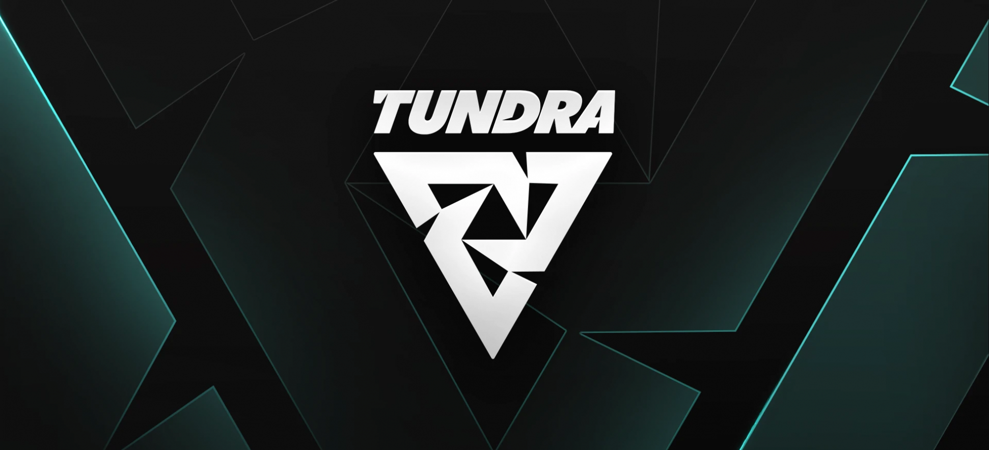 Утечка информации: Tundra намерена подписать команду по Counter-Strike